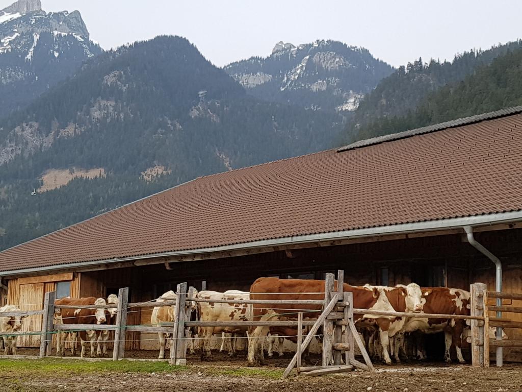 Haidacherhof Eben am Achensee Dış mekan fotoğraf